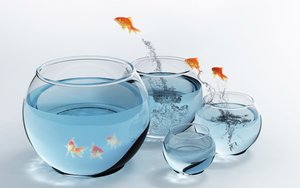 智能合约